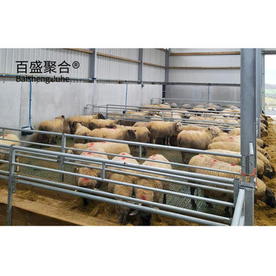 Steel Grade Prefab Livestock Building for Goat/Sheep/Cow/Cattle Cubicles and Pig Farming स्टील ग्रेड प्रीफैब पशुपालन भवन बकरी/भेड़/गाई/मछली के लिए
