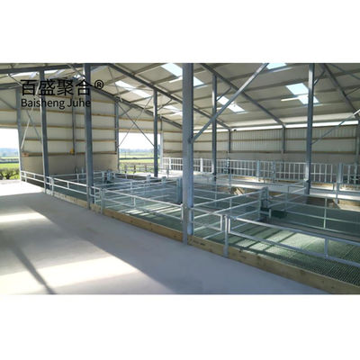 Steel Grade Prefab Livestock Building for Goat/Sheep/Cow/Cattle Cubicles and Pig Farming स्टील ग्रेड प्रीफैब पशुपालन भवन बकरी/भेड़/गाई/मछली के लिए