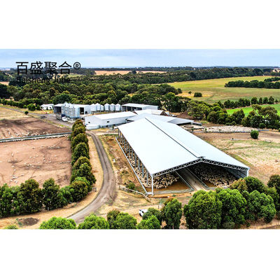 Steel Grade Prefab Livestock Building for Goat/Sheep/Cow/Cattle Cubicles and Pig Farming स्टील ग्रेड प्रीफैब पशुपालन भवन बकरी/भेड़/गाई/मछली के लिए