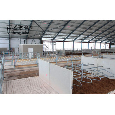 लाइट स्टील स्ट्रक्चर गाय फार्म बिल्डिंग ISO9001 2008/CE/BV के साथ प्रीफैब्रिकेटेड गाय का खलिहान
