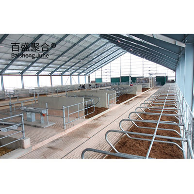 लाइट स्टील स्ट्रक्चर गाय फार्म बिल्डिंग ISO9001 2008/CE/BV के साथ प्रीफैब्रिकेटेड गाय का खलिहान