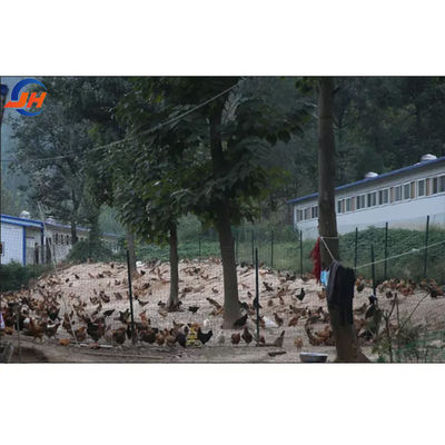 स्टील ग्रेड आधुनिक डिजाइन पोल्ट्री फार्म के लिए चिकन कॉप हाउस स्टील संरचना शेड फार्म