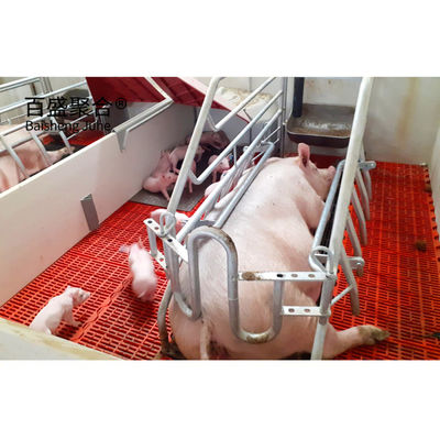 सुअर पालन के लिए गैल्वेनाइज्ड उपकरण सुअर फार्म ग्रेड स्टील के लिए प्रीफैब स्टील फ्रेम शेड