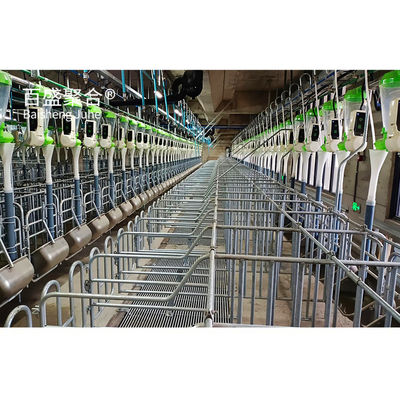 पूर्वनिर्मित इस्पात संरचना छत ट्रस पोर्क शेड और सूअर फार्म के लिए सीधे