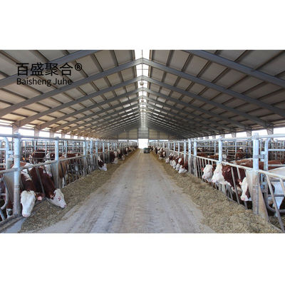 एआईएसआई मानक पूर्वनिर्मित इस्पात संरचना गाय और डेयरी फार्म के लिए गोदाम प्रमाणित