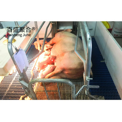 गर्म डुबकी जस्ती/रंग छिड़काव स्टील पोल्ट्री फार्म के लिए पूर्वनिर्मित सूअरघर डिजाइन