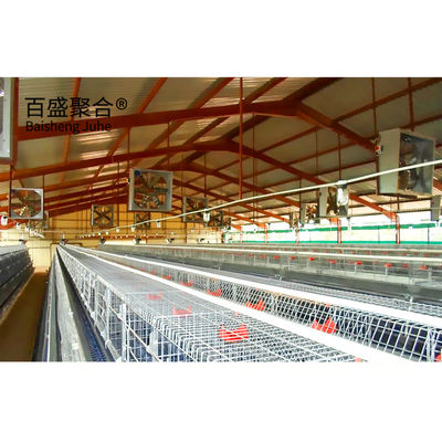 गैल्वेनाइज्ड ए प्रकार चिकन पिंजरे परत ISO9001 2008/CE/BV प्रमाणन के साथ पोल्ट्री
