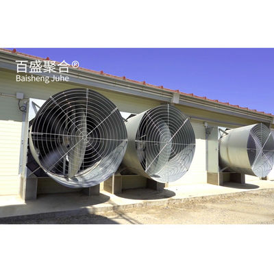 Custom Colors Design Commercial Broiler Chicken Cages with Automatic Poultry Feeding कस्टम रंगों के डिजाइन वाणिज्यिक ब्रोइलर चिकन केज स्वचालित पोल्ट्री फ़ीडिंग के साथ