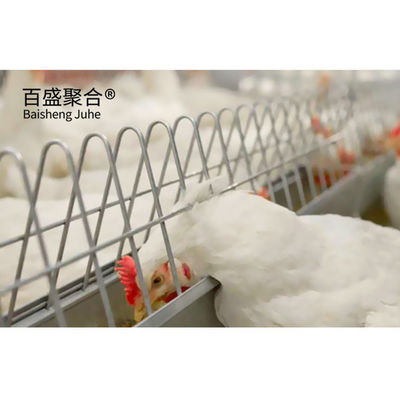 Custom Colors Design Commercial Broiler Chicken Cages with Automatic Poultry Feeding कस्टम रंगों के डिजाइन वाणिज्यिक ब्रोइलर चिकन केज स्वचालित पोल्ट्री फ़ीडिंग के साथ