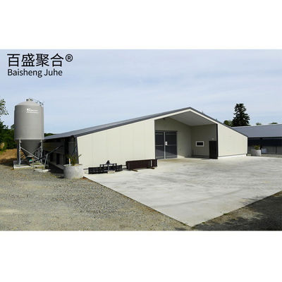 Steel Structure Piggery House Design for Pig Farming Tolerance ± 1% एमटीएस ड्राइंग डिजाइन