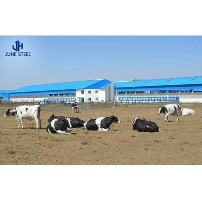 सैंडविच पैनल छत और रोलिंग डोर के साथ पूर्वनिर्मित स्टील गाय दूध फार्म हाउस