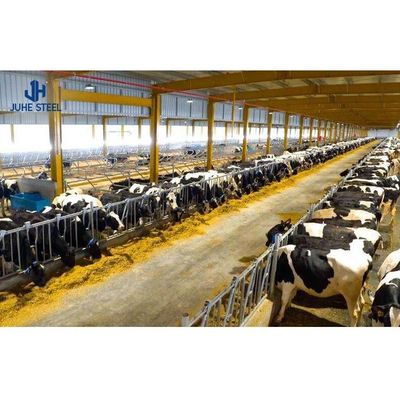 2-10 मीटर ऊँचाई गाय खेत भवन घर 60 मिमी पाइप व्यास के साथ गायशाला डिजाइन