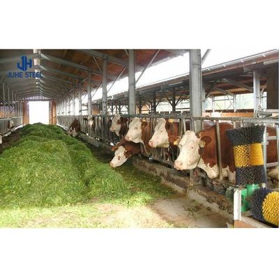 Q235/Q355B ग्रेड स्टील संरचना पशुधन प्रबंधन के लिए गाय का शेड