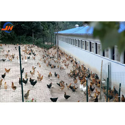Q235B/Q345B कम कार्बन स्टील स्टील संरचना चिकन कोप पूर्वनिर्मित चिकन हाउस