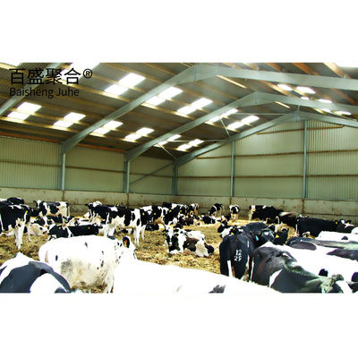 लंबी अवधि ग्रिड संरचना Q235/Q345 कम कार्बन स्टील पूर्वनिर्मित स्टील संरचना गाय का शेड
